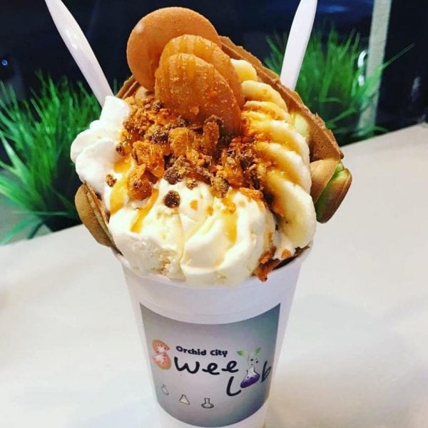 Here are the Places for Best Ice Cream in Dallas and Fort Worth