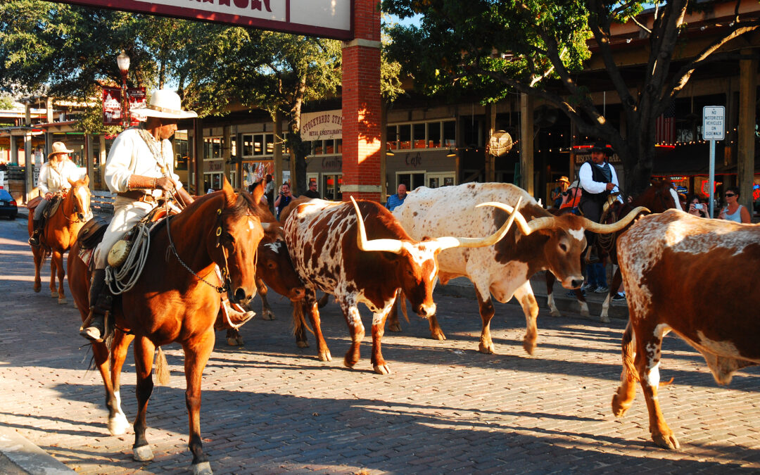 Top Ten Sights To See in Fort Worth 2023